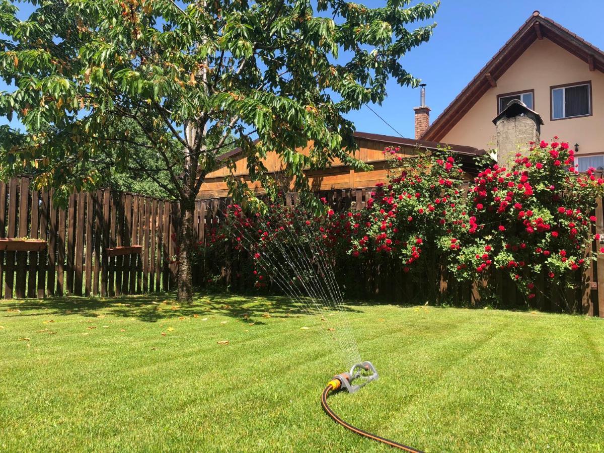 Pensiunea Aliart Zarnesti Exterior foto