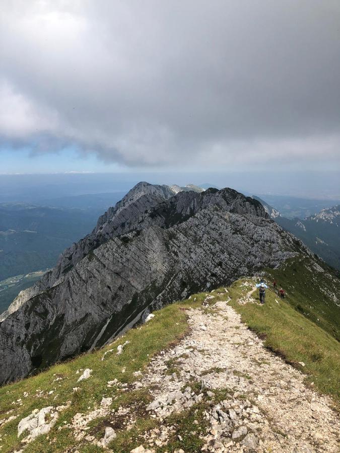 Pensiunea Aliart Zarnesti Exterior foto