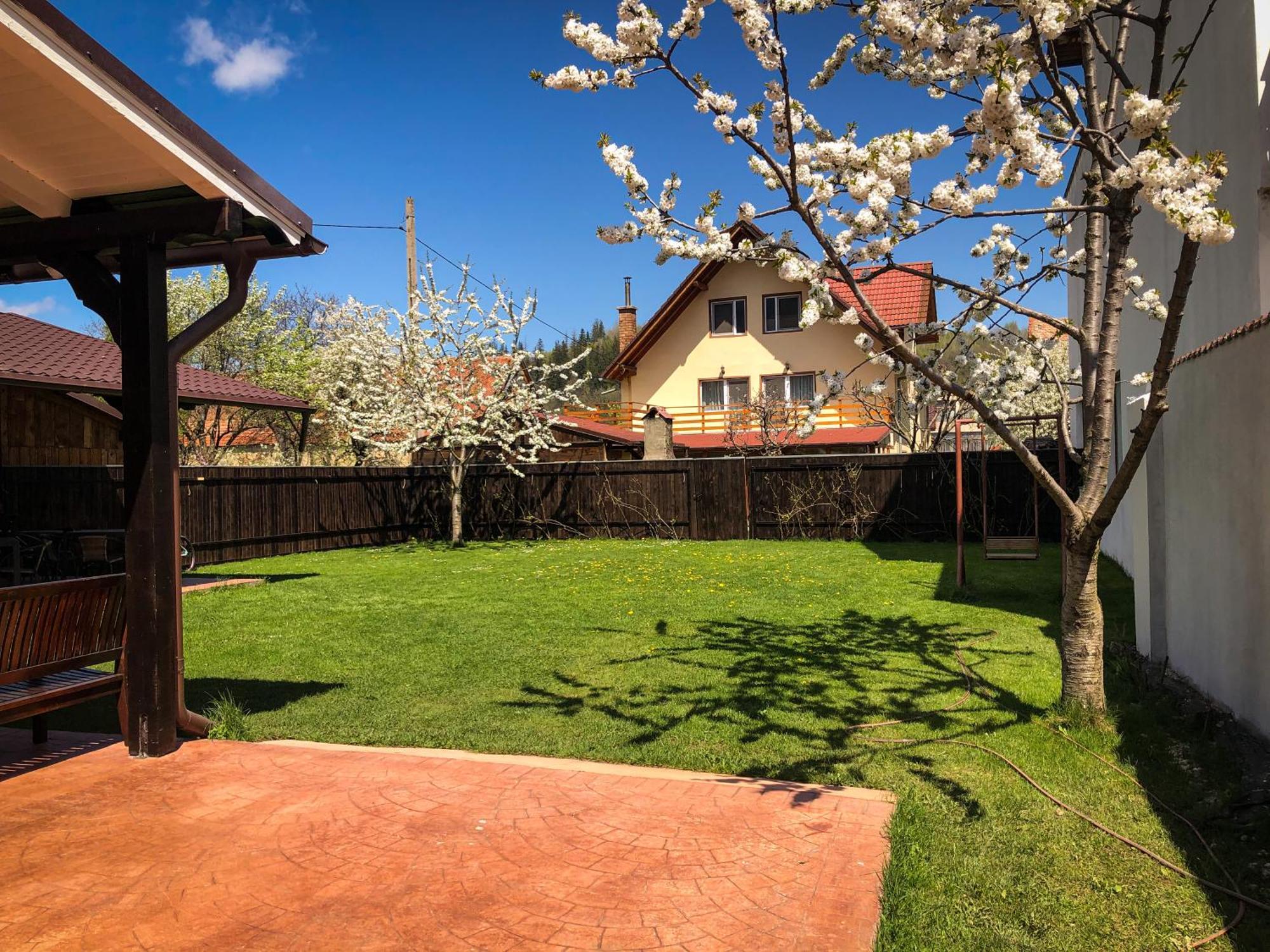 Pensiunea Aliart Zarnesti Exterior foto