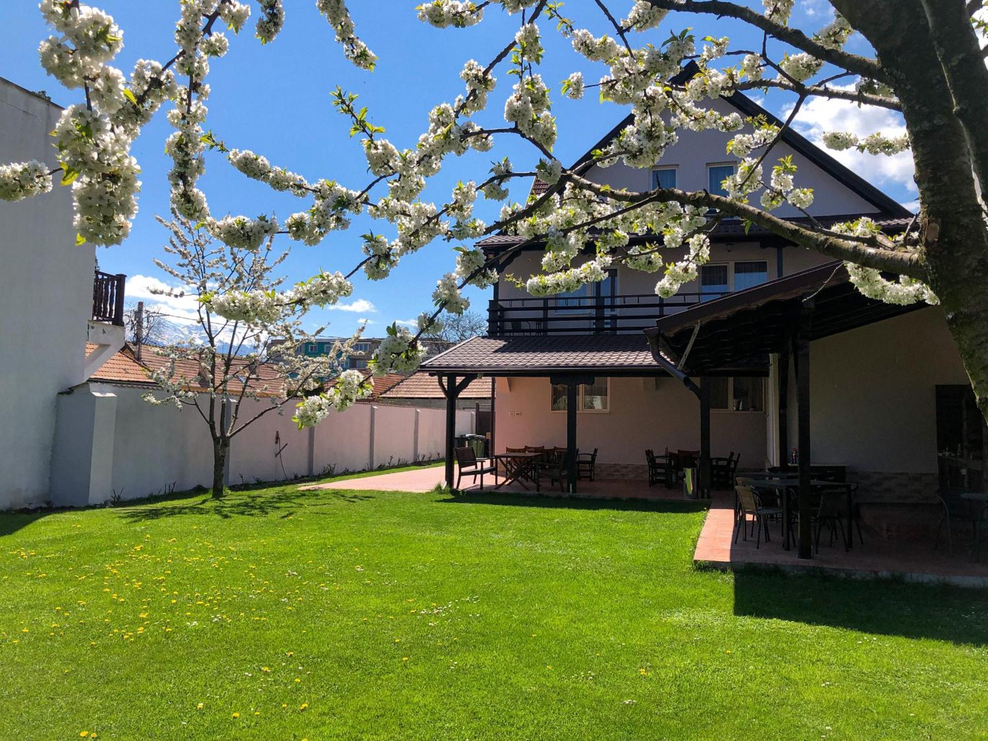 Pensiunea Aliart Zarnesti Exterior foto