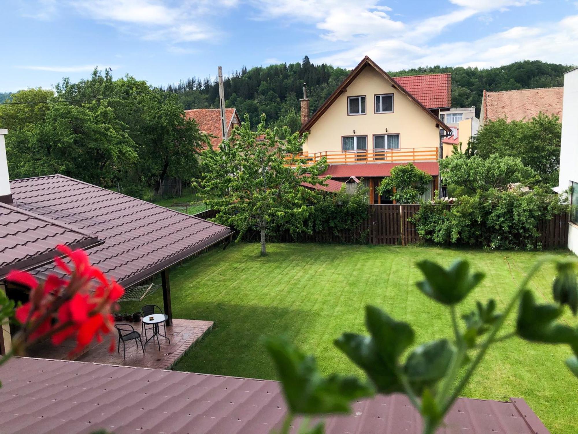 Pensiunea Aliart Zarnesti Exterior foto